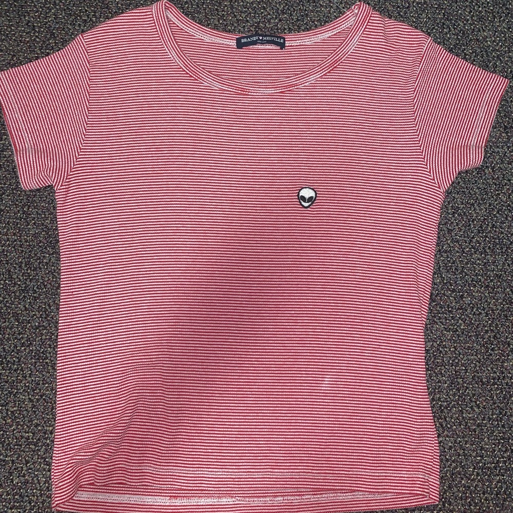 Brandy Melville Crop Tee